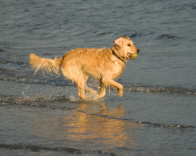 DSC_8618-2.jpg