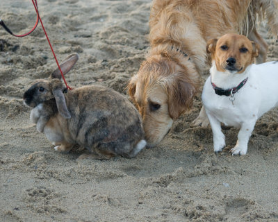 tods_point_-_december_2008
