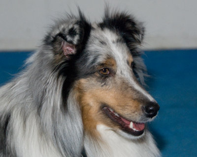 DSC_8914.jpg