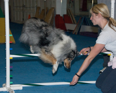 DSC_8940.jpg