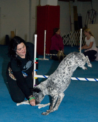 DSC_8955.jpg