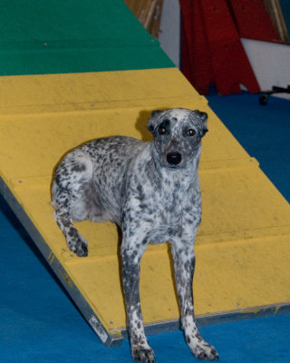 DSC_8985.jpg