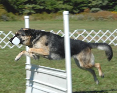 DSC_0478.JPG