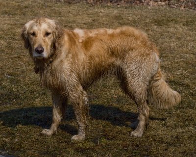 DSC_9215.jpg