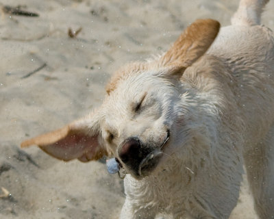 DSC_9542.jpg