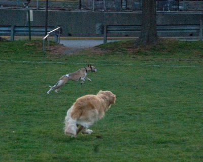 DSC_9963.jpg