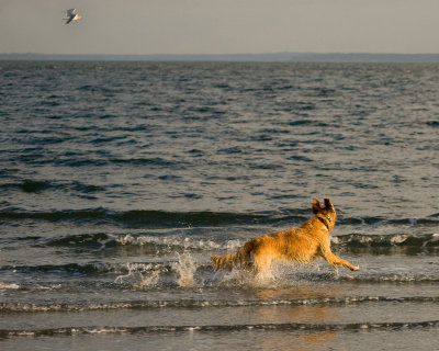 DSC_8652_a.jpg