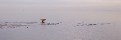 DSC_0162_2.jpg