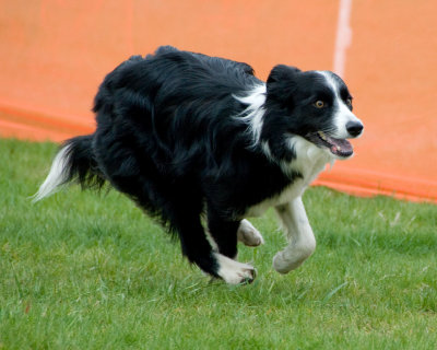DSC_1396.jpg