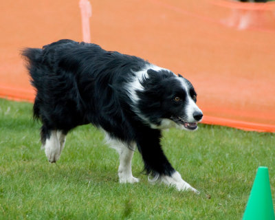 DSC_1397.jpg