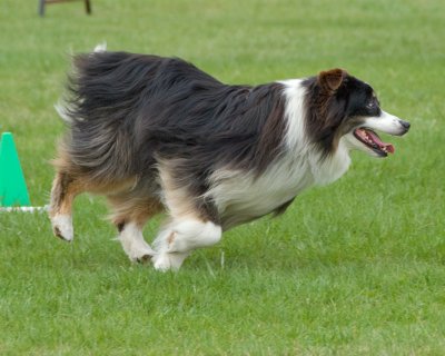 DSC_1538.jpg