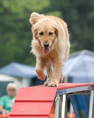 DSC_2429.jpg