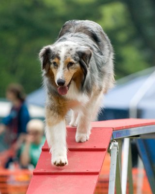 DSC_2498.jpg