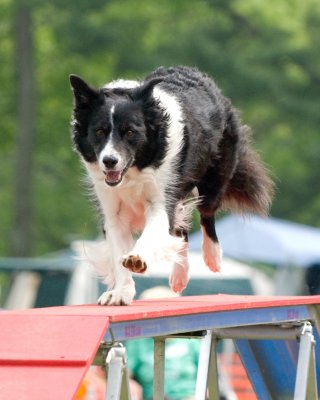 DSC_2647.jpg