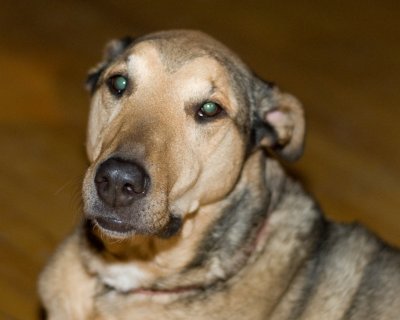 DSC_9270.jpg