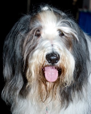 smrkc_agility_demo
