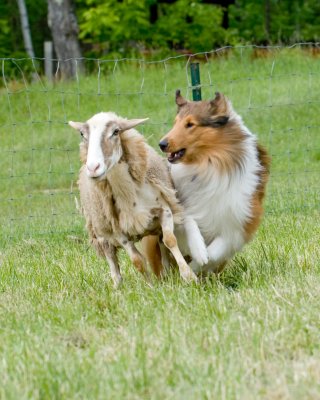 DSC_5183.jpg
