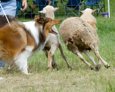 DSC_5224.jpg