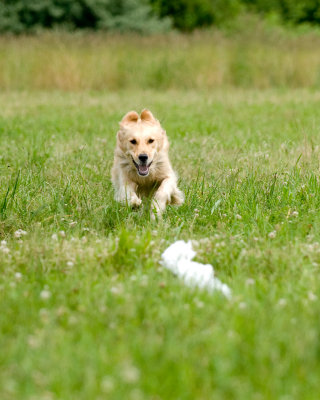 DSC_5825.jpg