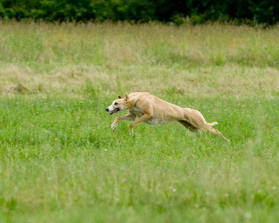 DSC_5866.jpg