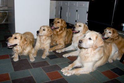 DSC_9060.jpg