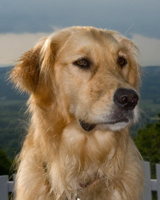 DSC_9469.jpg