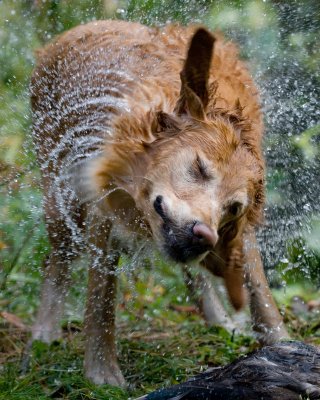 DSC_1798-Derby.jpg