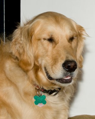 DSC_7197-8020_GLD_DFFUSE_ADJ.jpg