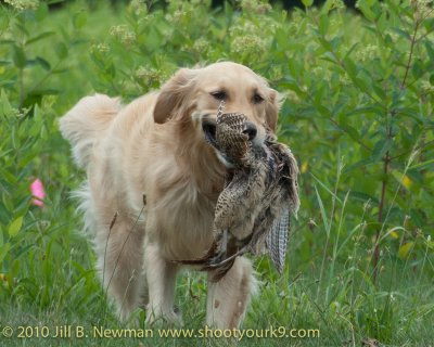 DSC_2450.jpg