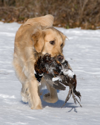 DSC_3192.jpg