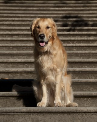 DSC_6110.jpg