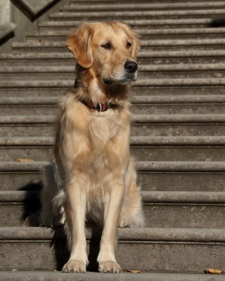 DSC_6114.jpg