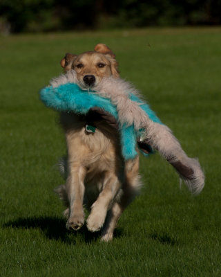 DSC_6302.jpg