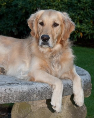 DSC_6109_Stormy.jpg