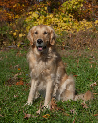 DSC_7909_Stormy.jpg