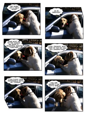 Page_1.jpg