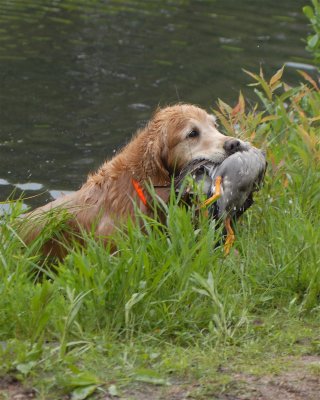 DSC_0314.JPG