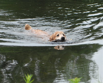 DSC_0337.JPG