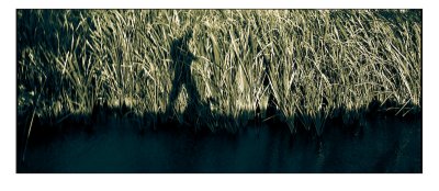 IMG_1664-Edit.jpg
