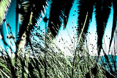 _MG_2052.jpg