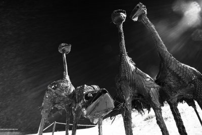 Sculptures By The Sea 2009