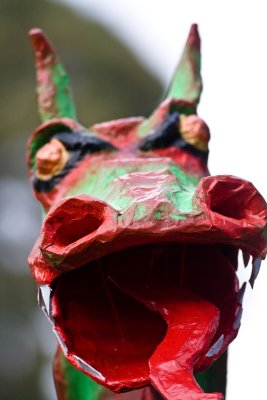 Balingup Medieval Carnival