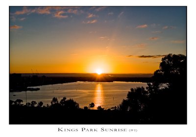 Kings Park Sunrise (#1)
