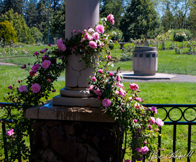 Manito Park, Spokane, Washington