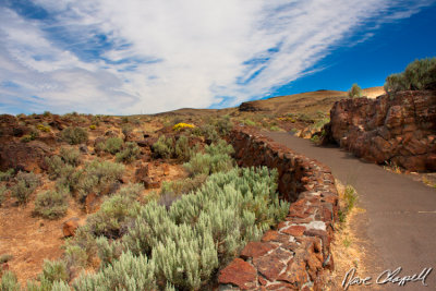 Desert Walkway
