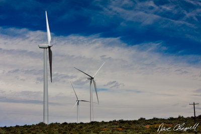 Green Giants