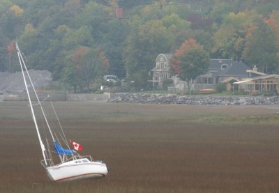 bateau.jpg