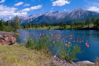 Quarry Lake