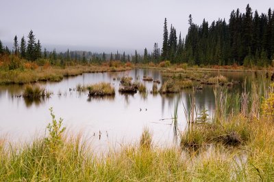 Vermillion Lakes