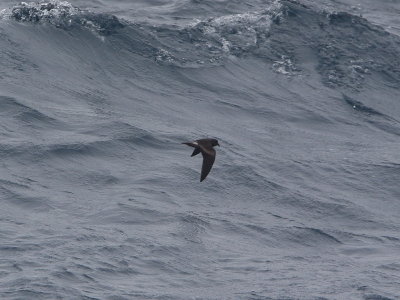 g1/25/808025/3/115632985.QG1sELeI.jpg